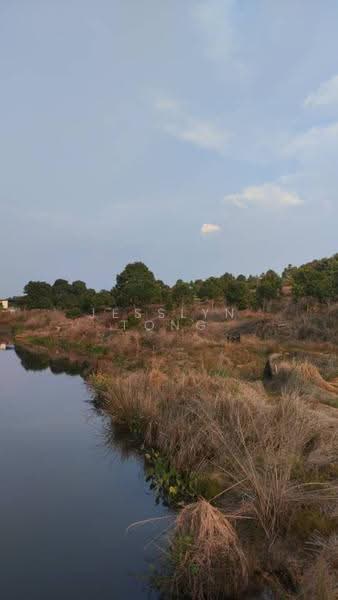 Agricultural Land for Sale in Simpang Pertang (Negeri Sembilan) - Jesslyn Tong - Exterior - PropertyGuru.com.my