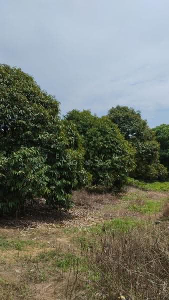 Agricultural Land for Sale in Simpang Pertang (Negeri Sembilan) - Jesslyn Tong - Garden - PropertyGuru.com.my