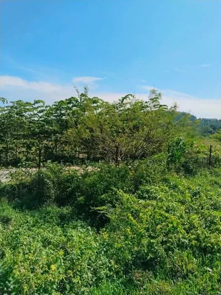 Lain-lain untuk Dijual di Kapar (Selangor) - Kelvin Soh - Exterior - PropertyGuru.com.my