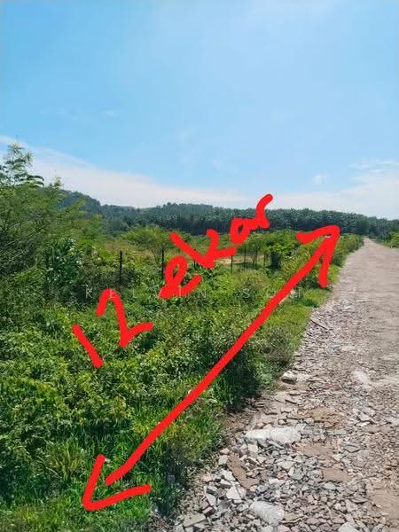 Lain-lain untuk Dijual di Kapar (Selangor) - Kelvin Soh - Exterior - PropertyGuru.com.my