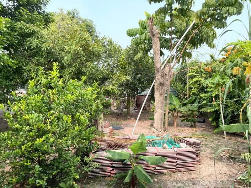1-storey Terraced House for Sale in Taman Muhibbah (Kajang) - Azli Ibrahim - Garden - PropertyGuru.com.my