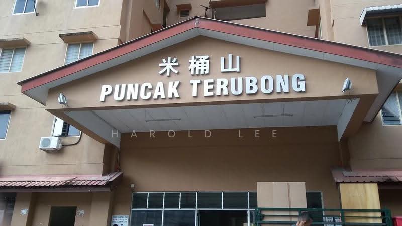 Rumah Flat untuk Dijual di Puncak Terubong - Harold Lee - Exterior - PropertyGuru.com.my