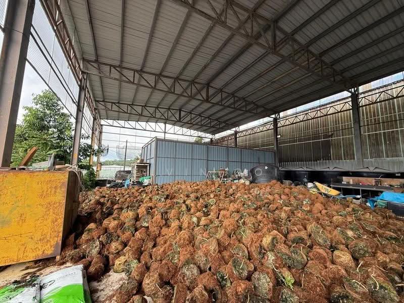 Factory for Rent in Bukit Mertajam (Penang) - Kelvin Ooi - Exterior - PropertyGuru.com.my
