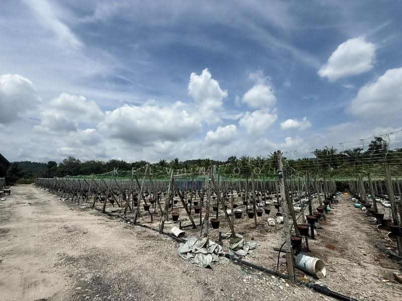 Factory for Rent in Bukit Mertajam (Penang) - Kelvin Ooi - Exterior - PropertyGuru.com.my