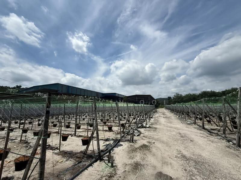 Factory for Rent in Bukit Mertajam (Penang) - Kelvin Ooi - Exterior - PropertyGuru.com.my