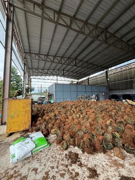 Factory for Rent in Bukit Mertajam (Penang) - Kelvin Ooi - Exterior - PropertyGuru.com.my
