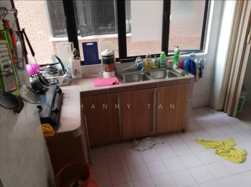 Condominium for Sale at Evergreen Park Scot Pine - Shanny Tan - Kitchen - PropertyGuru.com.my