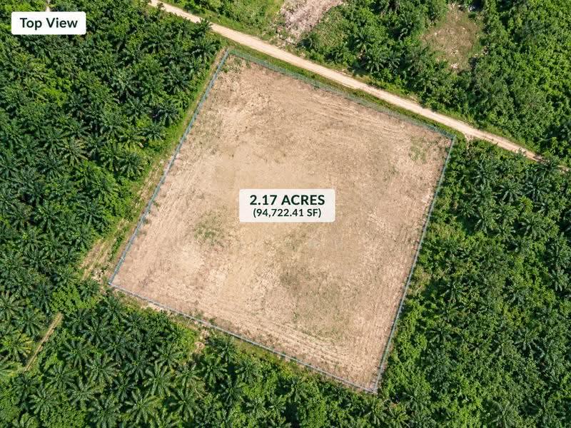 Agricultural Land for Rent in Taman Kundang Jaya (Rawang) - Ck Lau - Exterior - PropertyGuru.com.my