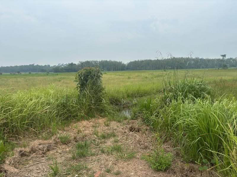 Others for Sale in Peringat (Kota Bharu) - Nabila Nazori - Exterior - PropertyGuru.com.my