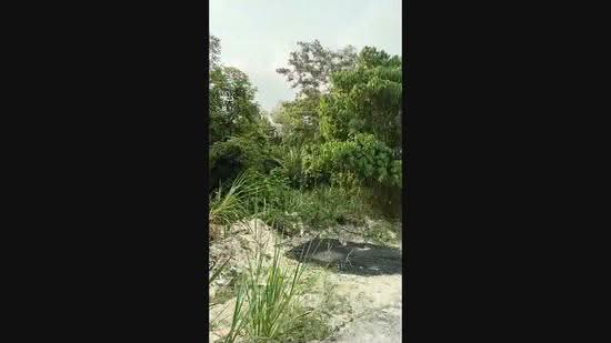 Agricultural Land for Rent in Rawang (Selangor) - Tom Foo - PropertyGuru.com.my