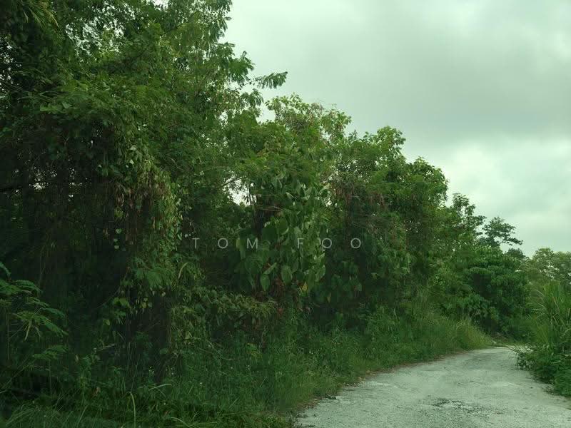 Agricultural Land for Rent in Rawang (Selangor) - Tom Foo - Exterior - PropertyGuru.com.my