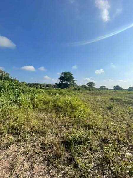 Tanah Pertanian untuk Dijual di Pekan Nenas (Jeram Batu) - Benson NEC - Exterior - PropertyGuru.com.my