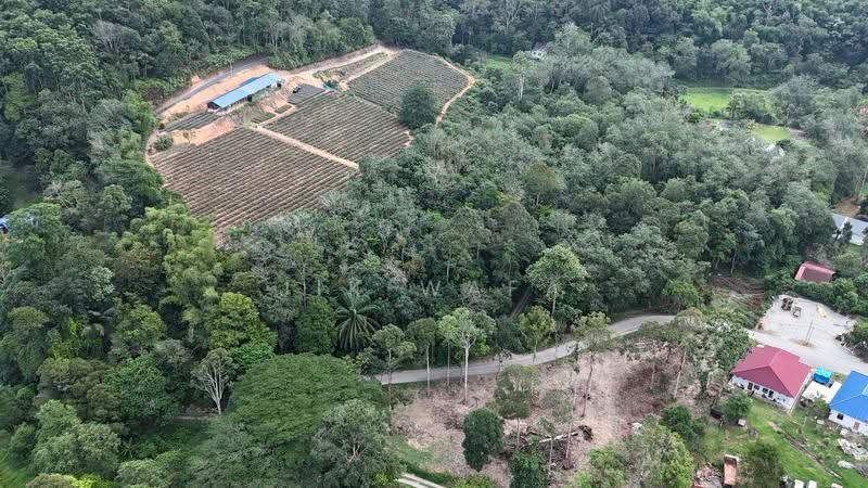 Tanah Pertanian untuk Dijual di Janda Baik (Bentong) - Jik Wafa - Exterior - PropertyGuru.com.my