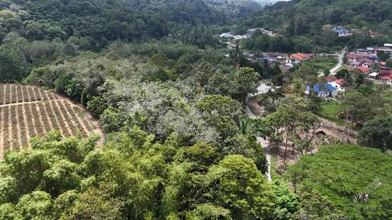 Tanah Pertanian untuk Dijual di Janda Baik (Bentong) - Jik Wafa - Exterior - PropertyGuru.com.my