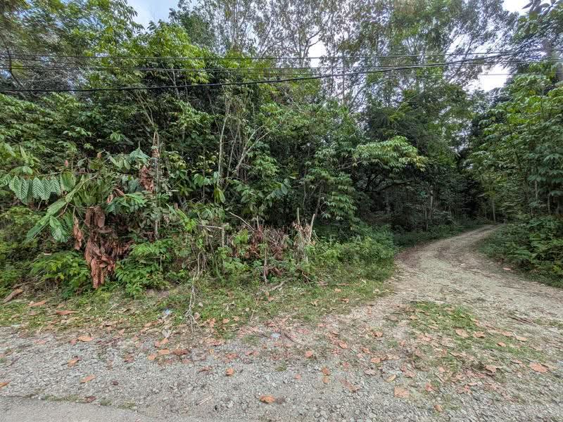 Tanah Pertanian untuk Dijual di Janda Baik (Bentong) - Jik Wafa - Exterior - PropertyGuru.com.my