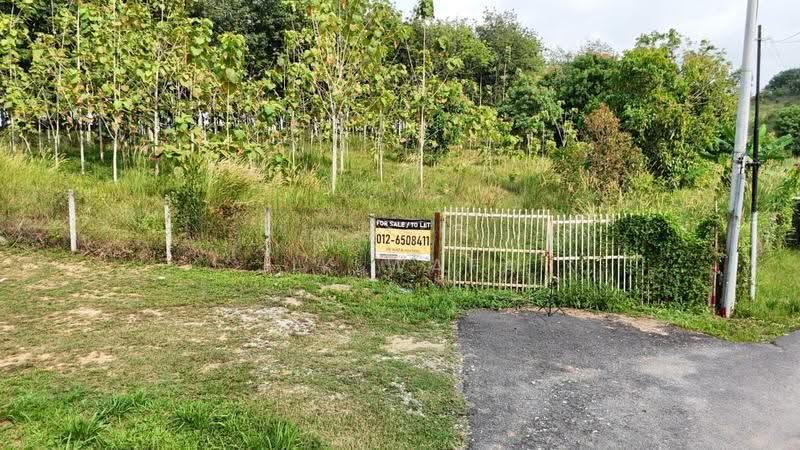 Tanah Pertanian untuk Disewa di Nilai (Negeri Sembilan) - Jik Wafa - Exterior - PropertyGuru.com.my