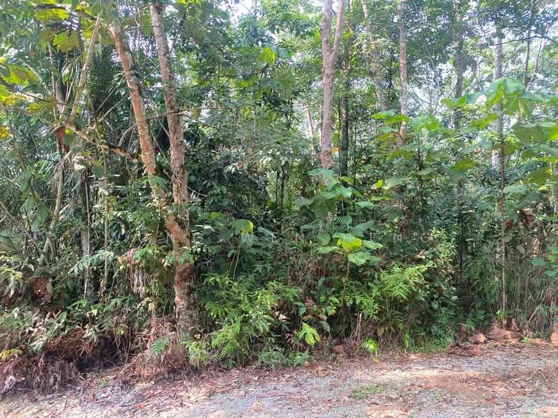 Tanah Pertanian untuk Dijual di Karak (Pahang) - Wong Wen Heng - PropertyGuru.com.my