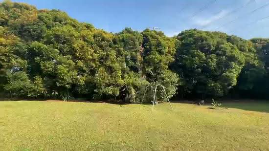 Bungalow House for Sale in Leisure Farm (Gelang Patah) - Carrien Siow - PropertyGuru.com.my