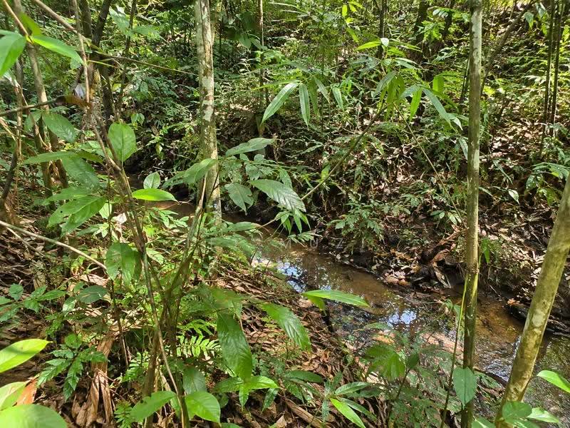 Agricultural Land for Sale in Kuala Kangsar (Perak) - Lee Muzi - Exterior - PropertyGuru.com.my