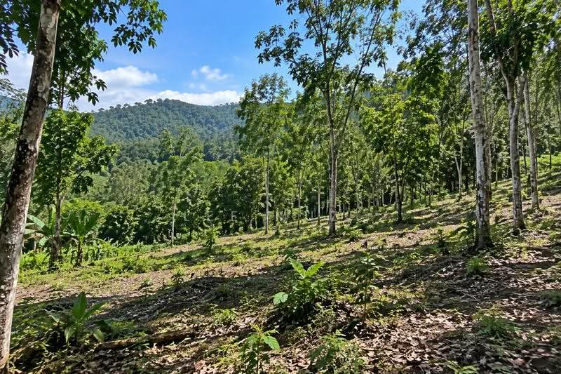 Agricultural Land for Sale in Kuala Kangsar (Perak) - Lee Muzi - Garden - PropertyGuru.com.my