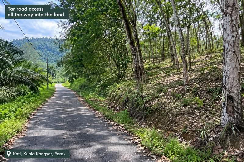 Agricultural Land for Sale in Kuala Kangsar (Perak) - Lee Muzi - PropertyGuru.com.my