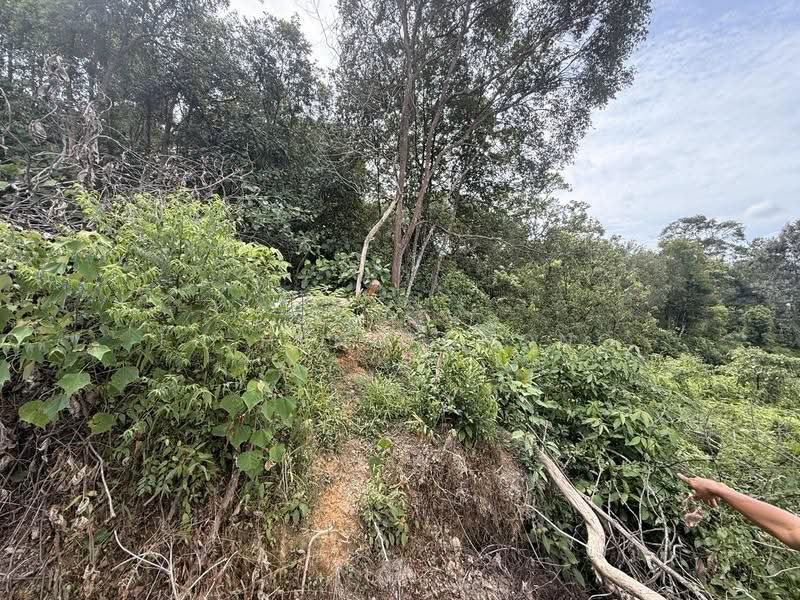 Residential Land for Sale in Iskandar Puteri (Nusajaya) (Johor) - Fu Heng Chong - Exterior - PropertyGuru.com.my