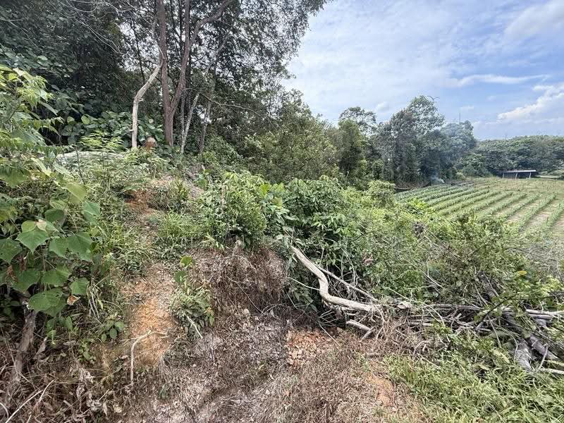 Residential Land for Sale in Iskandar Puteri (Nusajaya) (Johor) - Fu Heng Chong - Exterior - PropertyGuru.com.my