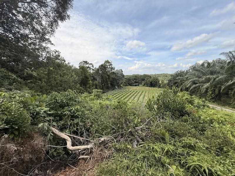 Residential Land for Sale in Iskandar Puteri (Nusajaya) (Johor) - Fu Heng Chong - PropertyGuru.com.my