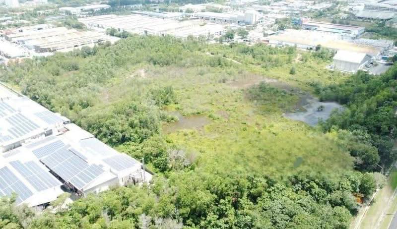 Tanah Pertanian untuk Disewa di Pekan Semenyih (Semenyih) - Sally Wong - Exterior - PropertyGuru.com.my