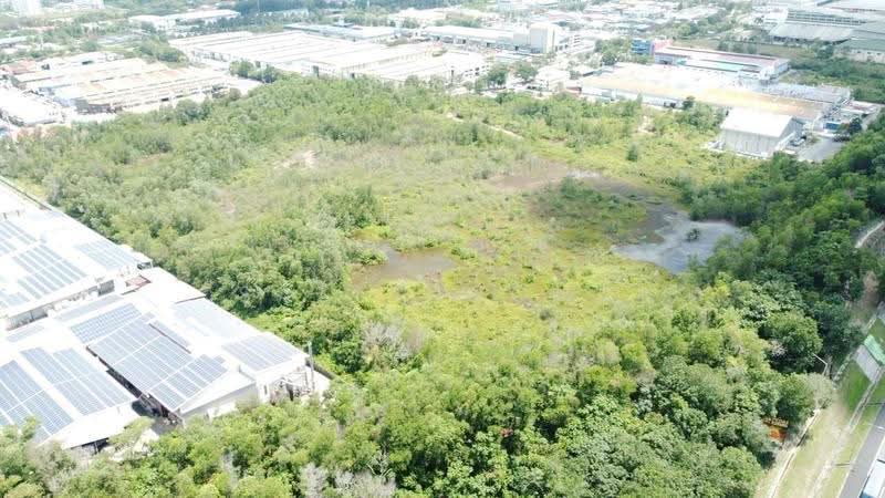 Tanah Pertanian untuk Disewa di Pekan Semenyih (Semenyih) - Sally Wong - Exterior - PropertyGuru.com.my