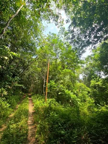 Agricultural Land for Sale in Kati (Kuala Kangsar) - Cherie Chong - PropertyGuru.com.my