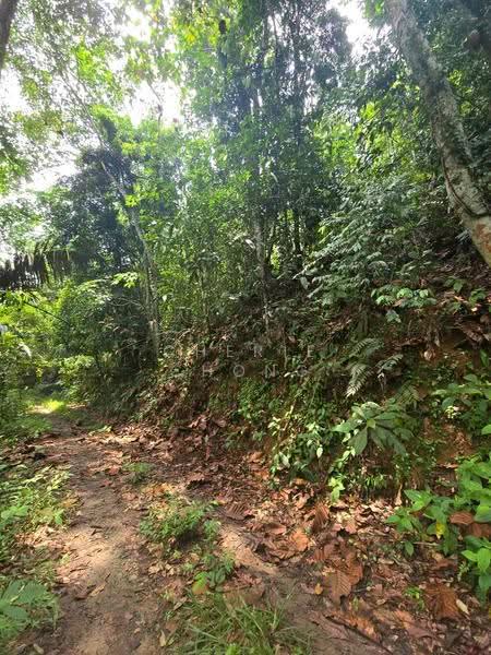 Agricultural Land for Sale in Kati (Kuala Kangsar) - Cherie Chong - PropertyGuru.com.my