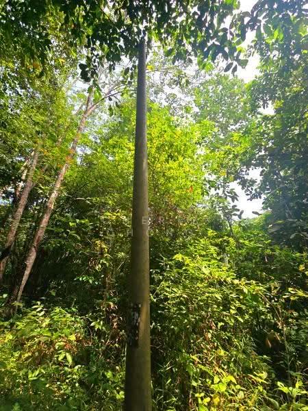 Agricultural Land for Sale in Kati (Kuala Kangsar) - Cherie Chong - PropertyGuru.com.my