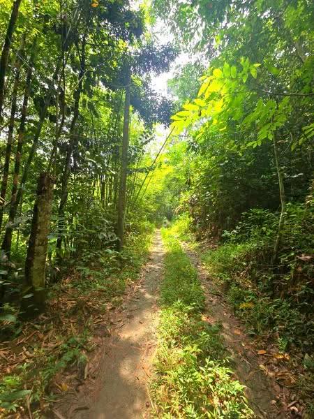 Agricultural Land for Sale in Kati (Kuala Kangsar) - Cherie Chong - PropertyGuru.com.my