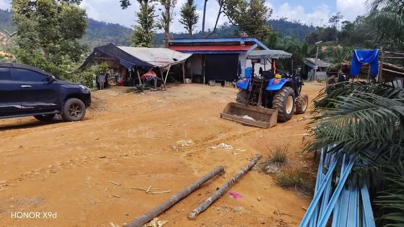Tanah Pertanian untuk Dijual di Rompin (Pahang) - Rose Gan - Exterior - PropertyGuru.com.my