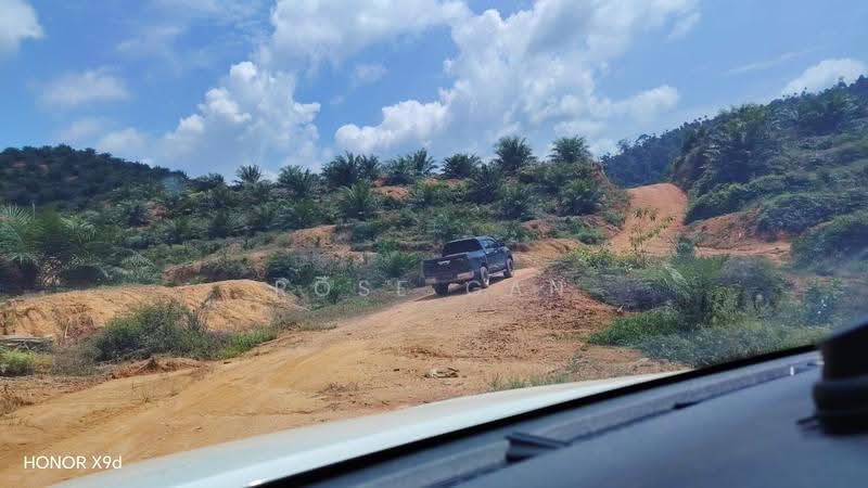 Tanah Pertanian untuk Dijual di Rompin (Pahang) - Rose Gan - Exterior - PropertyGuru.com.my