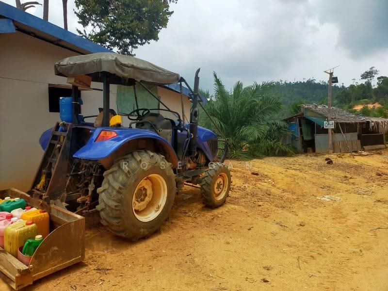 Tanah Pertanian untuk Dijual di Rompin (Pahang) - Rose Gan - Exterior - PropertyGuru.com.my