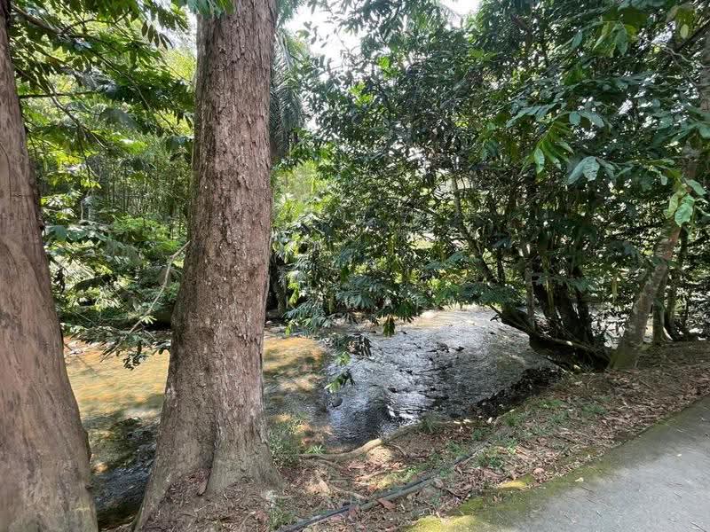 Agricultural Land for Sale in Janda Baik (Bentong) - Jik Wafa - Exterior - PropertyGuru.com.my