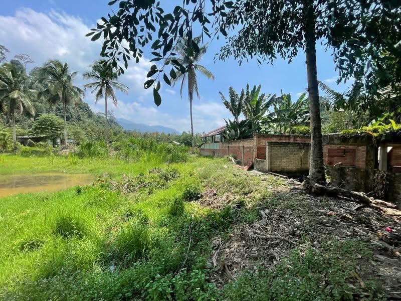 Agricultural Land for Sale in Janda Baik (Bentong) - Jik Wafa - Exterior - PropertyGuru.com.my