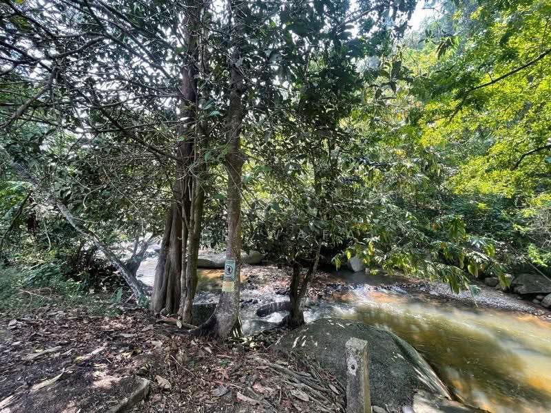 Agricultural Land for Sale in Janda Baik (Bentong) - Jik Wafa - Exterior - PropertyGuru.com.my