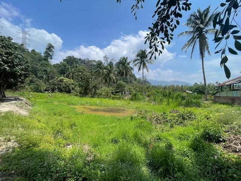 Agricultural Land for Sale in Janda Baik (Bentong) - Jik Wafa - Exterior - PropertyGuru.com.my