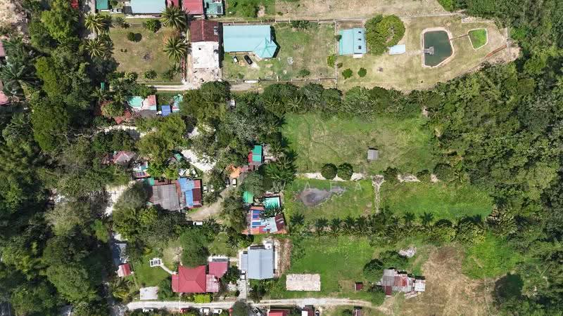 Agricultural Land for Sale in Janda Baik (Bentong) - Jik Wafa - Exterior - PropertyGuru.com.my