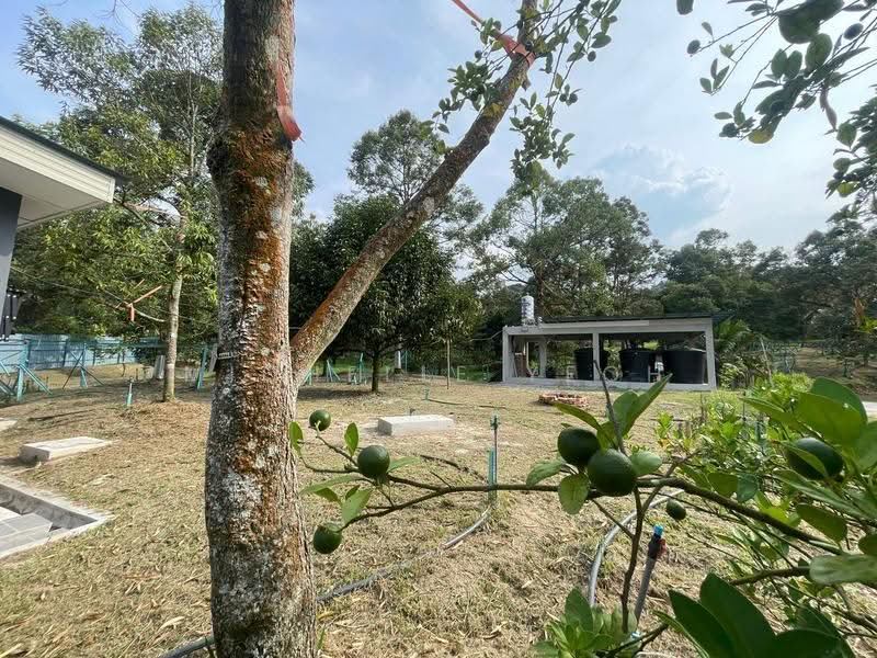 Tanah Pertanian untuk Dijual di Raub (Pahang) - Michelle Yeoh - Exterior - PropertyGuru.com.my