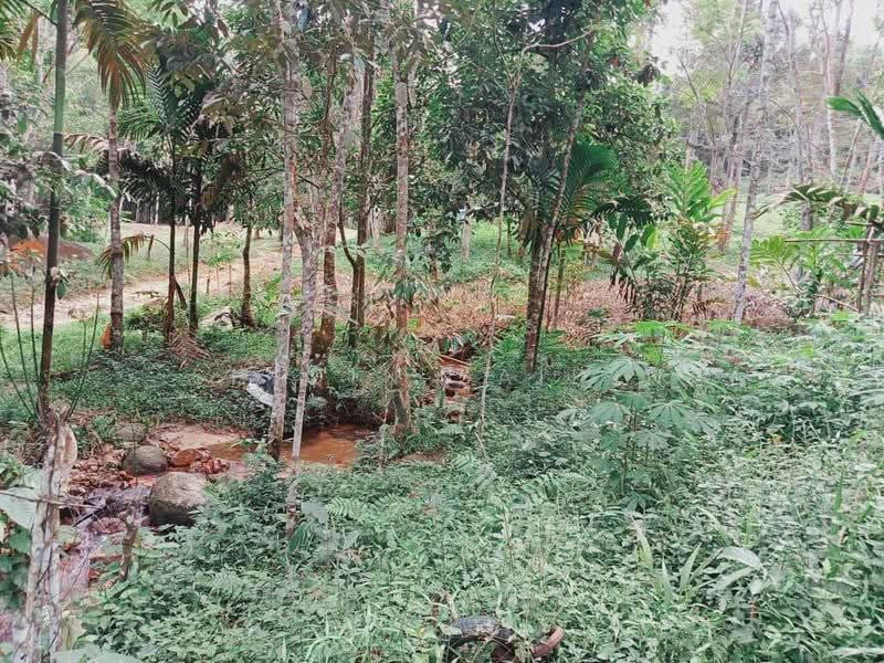 Agricultural Land for Sale in Ulu Yam (Selangor) - Shiqin Saidin - Exterior - PropertyGuru.com.my