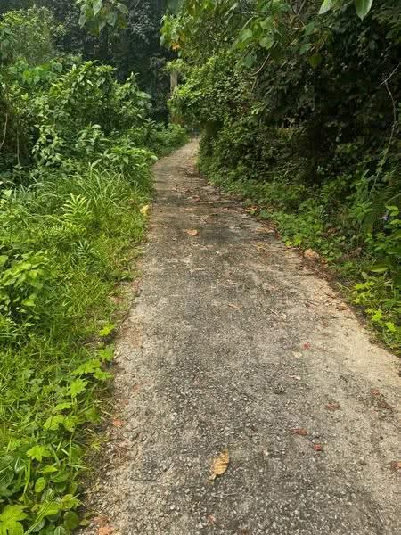 Agricultural Land for Sale in Kuala Kangsar (Perak) - Effendy Shohaili - Exterior - PropertyGuru.com.my
