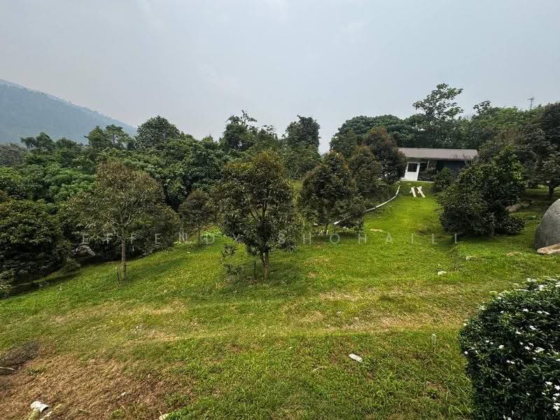 Agricultural Land for Sale in Kuala Kangsar (Perak) - Effendy Shohaili - Exterior - PropertyGuru.com.my