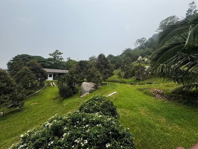 Agricultural Land for Sale in Kuala Kangsar (Perak) - Effendy Shohaili - Exterior - PropertyGuru.com.my