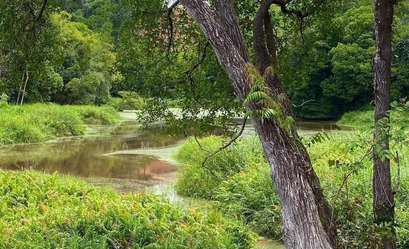 Tanah Kediaman untuk Dijual di Kuala Kubu Bharu (Selangor) - Amir Abas - Garden - PropertyGuru.com.my