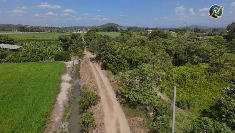 Agricultural Land for Sale in Bukit Mertajam (Penang) - Alvin Seah - Exterior - PropertyGuru.com.my
