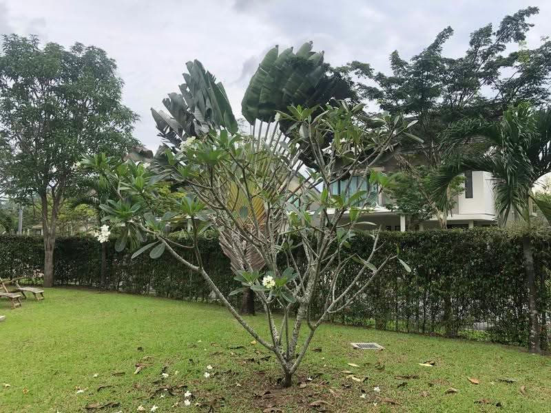 Bungalow House for Sale in Leisure Farm (Gelang Patah) - Rachel See - Exterior - PropertyGuru.com.my